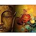 Produktbild qiyan DIY Malerei Buddha Kopf Rose Abstraktes Digitales Ölgemälde Leinwand Durch Zahlen Kits Acrylfarbe Frameless Wandkunst Bild,40x50cm