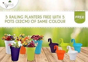 Wonderland (Pack of 5) 12.6 inches heightl PP/PVC/High Grade Plastic and GET 5 PP Railing Buckets Free. (Combo Deal)