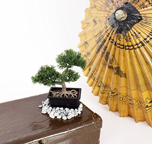 Künstlicher Bonsai Zeder im Töpfchen, ca. 23 cm – hochwertiger Kunstbonsai - 7