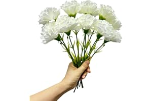 RIKYO Ramos de 11 Pulgadas, 10 claveles, no se decolora, Mini pétalos de Seda de Clavel, Flores Falsas para Siempre Plantas para Accesorios de Fotos, Fiestas y decoración de Bodas (Blanco)