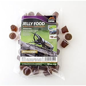 Jelly Food - Brown Sugar 50 Stück im Beutel , Fruitjelly , Beetlejelly - 50 x je 16g