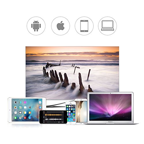 HD HDMI Kabel, AMALINK 1080P USB auf HDMI Wireless-Anschluss TV HD-Video-Adapterkabel für Apple iPhone7 / 6 / 6S - 4