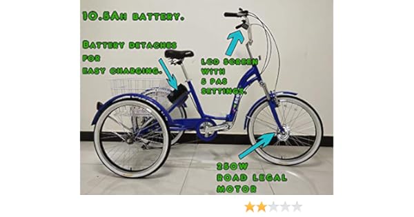 scout electric trike