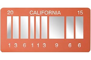 ASVP Shop Zurück in die Zukunft 2 – Filmreplik von DeLorean 2015 – Metall-Kennzeichen