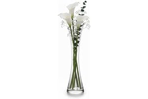volumoon Blomglasvas, 25 cm hög tunn, smal hals, glasvaser, klar glasvas, dekorativ liten vasos för hem, hem, vardagsrum, kon