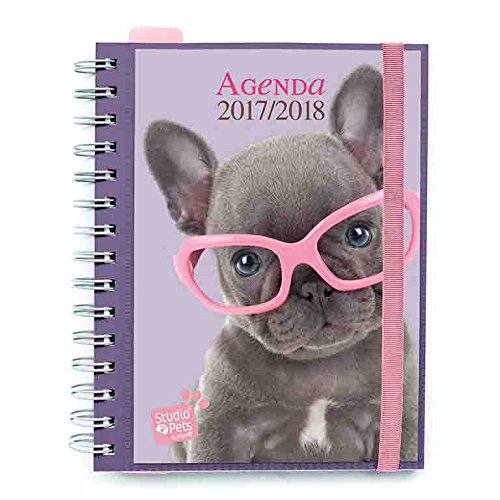 Télécharger Grupo Erik Editores AGVSV1704 – Agenda scolaire 2017 – 2018, vue hebdomadaire, design Studio livre En ligne