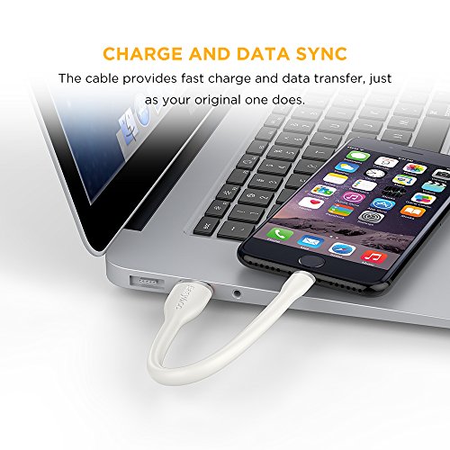 [Apple MFi Zertifiziert] EasyAcc Lightning zu USB Kabel 15cm Lade und Datenkabel im Unibody Design für iPhone 6s, 6s Plus, 6, 6 Plus, 5s, 5c, 5, iPad Air, Air 2, iPad Mini, Mini 2, Mini 3, iPad 4 Gen, iPod Touch 5 Gen und iPod Nano 7 Gen Farbe Weiß - 7