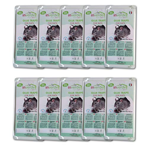 10 lots = 20 plaques collantes NUISIPRO, pièges à rats et souris très efficace