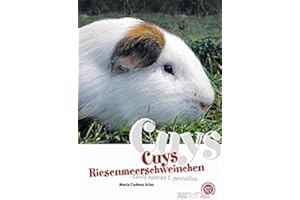 Cuys - Riesenmeerschweinchen: Cavia aperea f. porcellus: Art für Art (Art für Art: Kleinsäuger)
