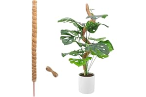 YZROHYI Bastone per Piante Rampicanti 100 CM,Palo di Muschio per Piante con Corda Juta,Muschiato Bastone Fibra di Cocco,Pieghevole Palo Sfagno per Monstera Supporto,Tutore Piante Sostegno,Moss Pole