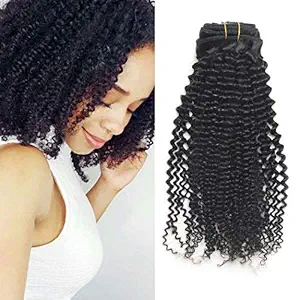 Luwigs 3C 4A Kinkys Curly Clip In Human Hair Extensions for Black Women Brazilian Virgin Human Hair Extensions African American Natural Hair Clip Ins Natural Color (12 inches, 3C 4A Kinkys Curly)