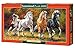 Produktbild Castorland C-400119-2 - Born to Run, Puzzlee 4000-teiligle, Klassische Puzzle