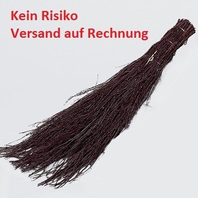 Preisvergleich Produktbild REISERBESEN BIRKE 0 STIEL