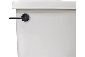 Danco 12052 Toilet Tank Lever, Matte Black