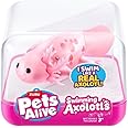 Zuru Pets Alive Swimming Axolotl Series -1 Random Color