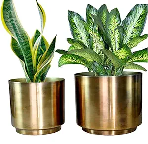 eSplanade Metal Flower Pot for Living Room Bedroom Garden Tabletop Planter - (Set of 2)