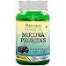 Morpheme Remedies Mucuna Pruriens (Kapikachhu) 500mg Extract - 60 Veg Caps RS.649.00