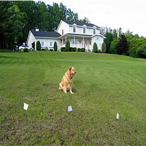 Pet-Fencing-System-Smart-Dog-Underground-Fence-InGround-Dog-Fence-Collar-Dog-Training-Collar-with-300M-Wire-Cable