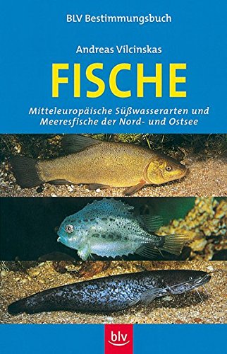 Download Fische Download Fische