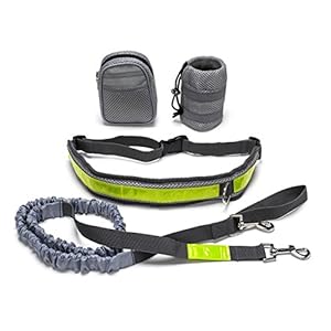 Correa elástica para correr o caminar con el perro, con cinturón ajustable para tener las manos libres y bolsa