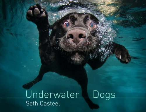Download Underwater Dogs (English Edition) Download Underwater Dogs (English Edition)