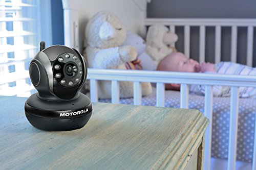 Motorola-camra-de-surveillance-intrieure-supplmentaire-pour-animaux-SCOUT-1100-et-1500-IMU-Noir