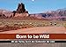 Produktbild Born to be Wild - Mit der Harley durch den Südwesten der USA (Wandkalender 2018 DIN A2 quer): Die landschaftlichen Highlights des amerikanischen ... ... [Kalender] [Apr 01, 2017] Kärcher, Mike
