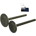 23mm 27mm Intake Exhaust Valve For Lifan YX 125cc 140cc Engine Pit Dirt Bike Ssr