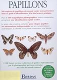 Image de Papillons