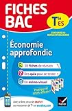 Fiches bac Économie approfondie Tle ES: fiches de révision Terminale ES