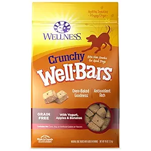 Wellness Wheat Free Oven Baked Biscuits for Dogs, WellBars Yogurt, Apples and Banana, 50-Ounce Box