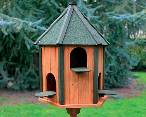 FINCA CASAREJO Palomar Ramier - Caseta Exterior para Palomas y Otros pájaros