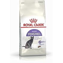  CANIN Bengal ドライフード2kg×2 CANIN Bengal ドライフード2kg×2 ROYAL CANIN® Bengal Adult Dry