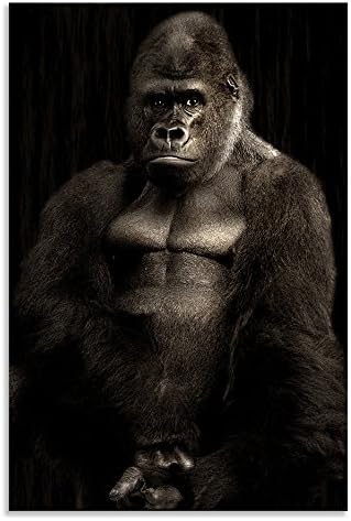 Gorilla Canvas Monkey Wall Art Portrait Print for Living Room Bathroom Bedroom Kitchen Home Decor Picture Single Panel Framed (12” x 18” (30 cm x 46 cm))