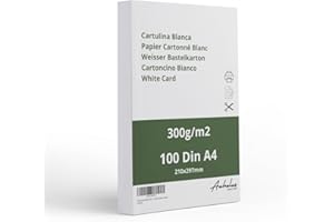 ANHELUS PAPER & DECO 100 Cartoncino Bianco A4-300gr/m2 - Confezione di 100 cartoncino bianco per stampa 210x297mm - Carta satinata per stampare - Cartoncino per disegno e lavori manuali