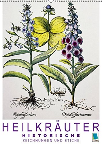Heilkräuter: Historische Zeichnungen und Stiche (Wandkalender 2019 DIN A2 hoch): Farblithografien und Kupferstiche historischer Pflanzenstudien: ... 14 Seiten ) (CALVENDO Wissen)