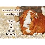 Meerschweinchen Schild: Meerschweinchen Hoheitsgebiet - A4 - 30x21 - wetterfest - 3mm PVC