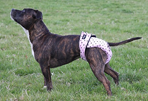 Dog-Season-Diaper-Heat-Nappy-Pants-Size-Medium-Regular-Pink-Black-Dots