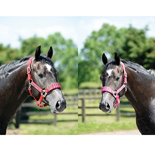 Cottage-Craft-Candy-Stripe-Head-Collar