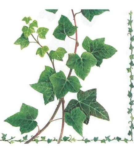 Lot De 20 Serviettes De Table - Motif Feuilles - Vert