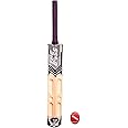 XTROKE The BOSS Scoop Edition Popular Willow Premium Cricket Bat with Tennis Ball for Man's & Adult, Advance Play All Tennis Ball, Gully Cricket, Tournament Match (Size 05)
