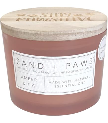 California Beach House Sand Fog - una novità fragranza unisex 2025
