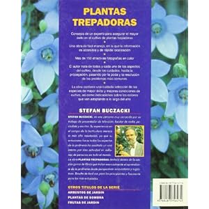 Plantas trepadoras