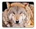 Produktbild Gelb Wolf Mauspad, Gaming Maus Pad (25,9 x 20,8 cm)