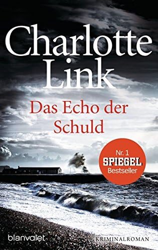 Das Echo der Schuld: Roman