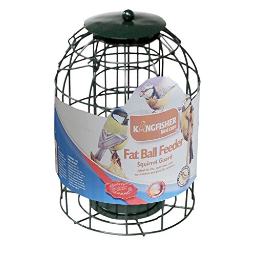 Eichhörnchen Schutz Fat Ball Feeder