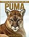 Produktbild Puma: Libro sui Puma per Bambini con Foto Stupende & Storie Divertenti (Serie Ricordati Di Me)