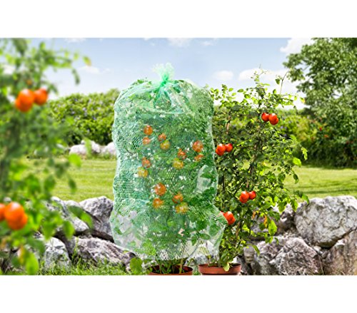 Dehner Tomatenhaube mitwachsend, ca. 125 x 65 cm, Inhalt 5 Stück - 2