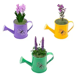 Nuha Small Metal Watering Can ? Butterfly Designed, Rust Free, Watering Can for Kids, Gift, Gifting, Garden, Gardening, Tools (Set of 3)