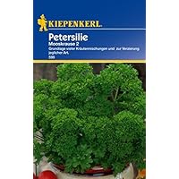 Petersilie Mooskrause 2 ein- bis zweijährig